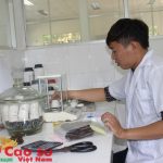 Viện Nghiên cứu Cao su VN: Nâng cao năng lực, tiềm lực khoa học công nghệ