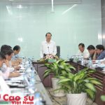 Phó Thủ tướng Vũ Văn Ninh thăm và làm việc với VRG