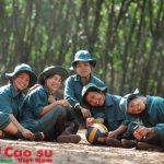 Nhớ nàng công nhân