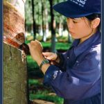 Mong ai đừng vội bỏ nghề