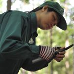 Giải pháp kỹ thuật tiết giảm suất đầu tư