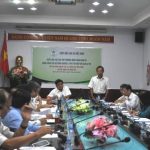 Nên có chính sách đặc biệt tạo thế và lực cho ngành cao su