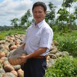 Xen canh hiệu quả tại VKETI