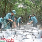 Thành tích mới