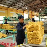 Nỗ lực vượt khó, đảm bảo SXKD có lợi nhuận