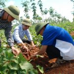 Quyết liệt và linh hoạt trong công tác điều hành