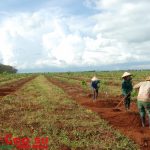 Các CTCS cần được tham gia việc quy hoạch đất đai tại địa phương