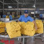 Tiền lương khu vực miền Đông đạt 4-6 triệu đồng/người/tháng