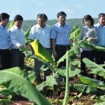 Cao su Bình Long: Tổ chức tốt SXKD, đảm bảo lợi nhuận