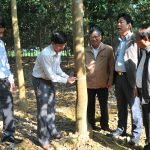 Mở miệng cạo trong năm 2016 tại Tây Bắc