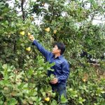 Triển khai “Nghị quyết phát triển kinh tế gia đình ”