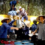 Ước sao Xuân cả bốn mùa