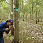 Khó khăn vẫn thi đua sôi nổi