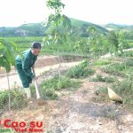 Tiếp tục điều chỉnh suất đầu tư trong năm 2016