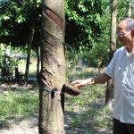 Về hưu mới thấy  lương hưu giá trị và ý nghĩa