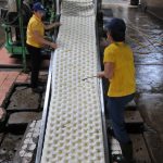 Ứng dụng tiến bộ khoa học kỹ thuật trong chế biến mủ cao su (kỳ 2)