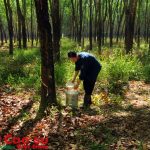 Nữ công nhân ba đảm đang