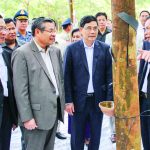 Không thể kỳ vọng giá nông sản lúc nào cũng cao