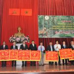 VRG đạt lợi nhuận khá, tăng trưởng tốt
