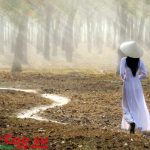 Bâng khuâng mùa lá rụng