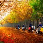 Vẫn là nắng mới
