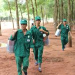 Bắt tay ngay vào việc
