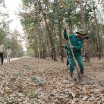 Cao su Kon Tum: Điểm sáng về công tác nông nghiệp ở Tây Nguyên