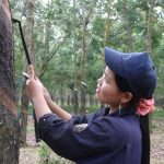 Tăng lương tối thiểu vùng: Doanh nghiệp cao su nặng gánh