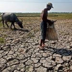 Nông nghiệp khô héo vì El Nino