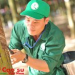 Hội thi Thợ giỏi cấp ngành dự kiến tại NT Minh Hưng (Bình Long)