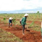 Chú trọng nâng cao vai trò cán bộ chuyên quản