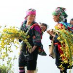 Ảnh đẹp Đất nước - Con người Việt