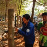 Nhộn nhịp đầu mùa cạo