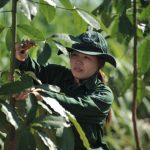 Quyết tâm vượt khó
