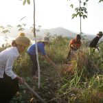 Cao su nâng cao đời sống người đồng bào