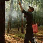 Quyết tâm vượt khó