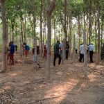 Công ty CPCS Đồng Nai-Kratie tập huấn khai thác mủ