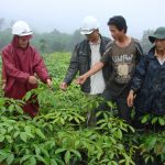 Cao su đổi phận đất nghèo