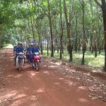 Thanh niên cao su với ngày bầu cử: Háo hức - Trách nhiệm
