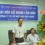 Thành lập Công ty CP Gỗ MDF VRG Kiên Giang