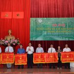 Tiền lương VRG 6 tháng đầu năm tăng 22,55% so cùng kỳ 2015