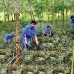 Thanh niên làm gì để chung tay xây dựng nông thôn mới?
