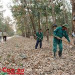 Nông trường Plei Kần (Kon Tum) hỗ trợ công nhân vượt khó