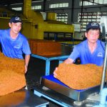 Nhất thiết phải có quy chuẩn quốc gia chất lượng cao su