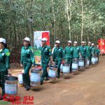 Mời góp ý Dự thảo Quy chế Hội thi bàn tay vàng 2016