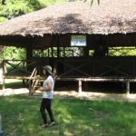 Bình Phước trồng cao su tạo quỹ bảo tồn Bộ chỉ huy Miền