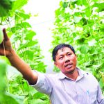 Làm kinh tế gia đình với mô hình nông nghiệp công nghệ cao