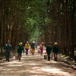 Hẹn lại mùa sau