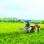 Nông nghiệp tăng trưởng âm: Nhiều nỗi lo