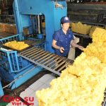 Nên ưu tiên cho người lao động mua cổ phần khi thoái vốn